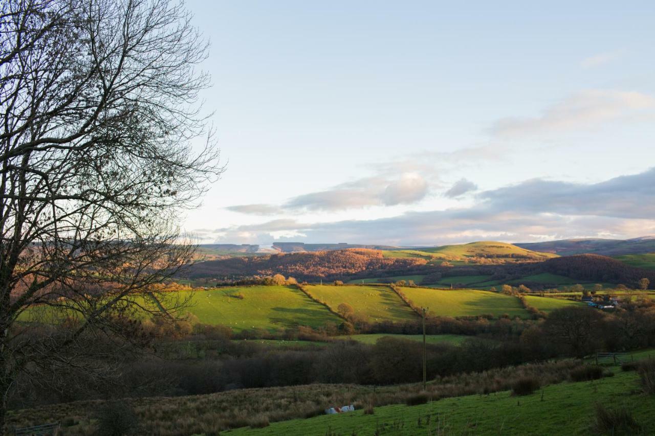 Owl Barn At Penygaer Great Views Of Brecon Beacons Villa Llandovery Buitenkant foto